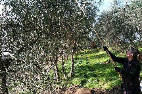 Agriturismo a Montaione