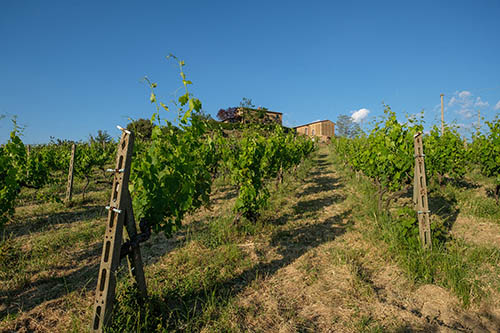 Vacanza a Montaione