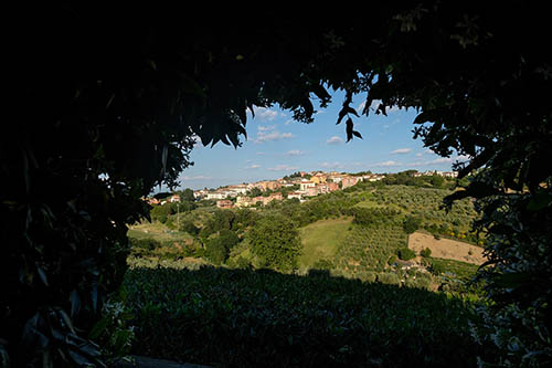 Dove trovare un agriturismo a Montaione