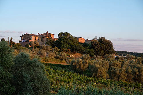 Vacanza a Montaione